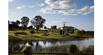 Willow Tree Estate Willow Tree Estate