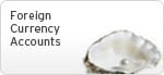 Foreign Currency Accounts Foreign Currency Accounts