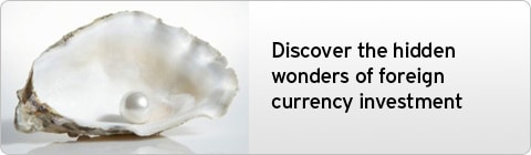 Discover the hidden wonders of foreign currency investment