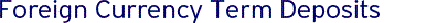 Citibank Foreign Currency Term Deposits Citibank Foreign Currency Term Deposits