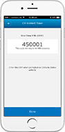 Citibank Online